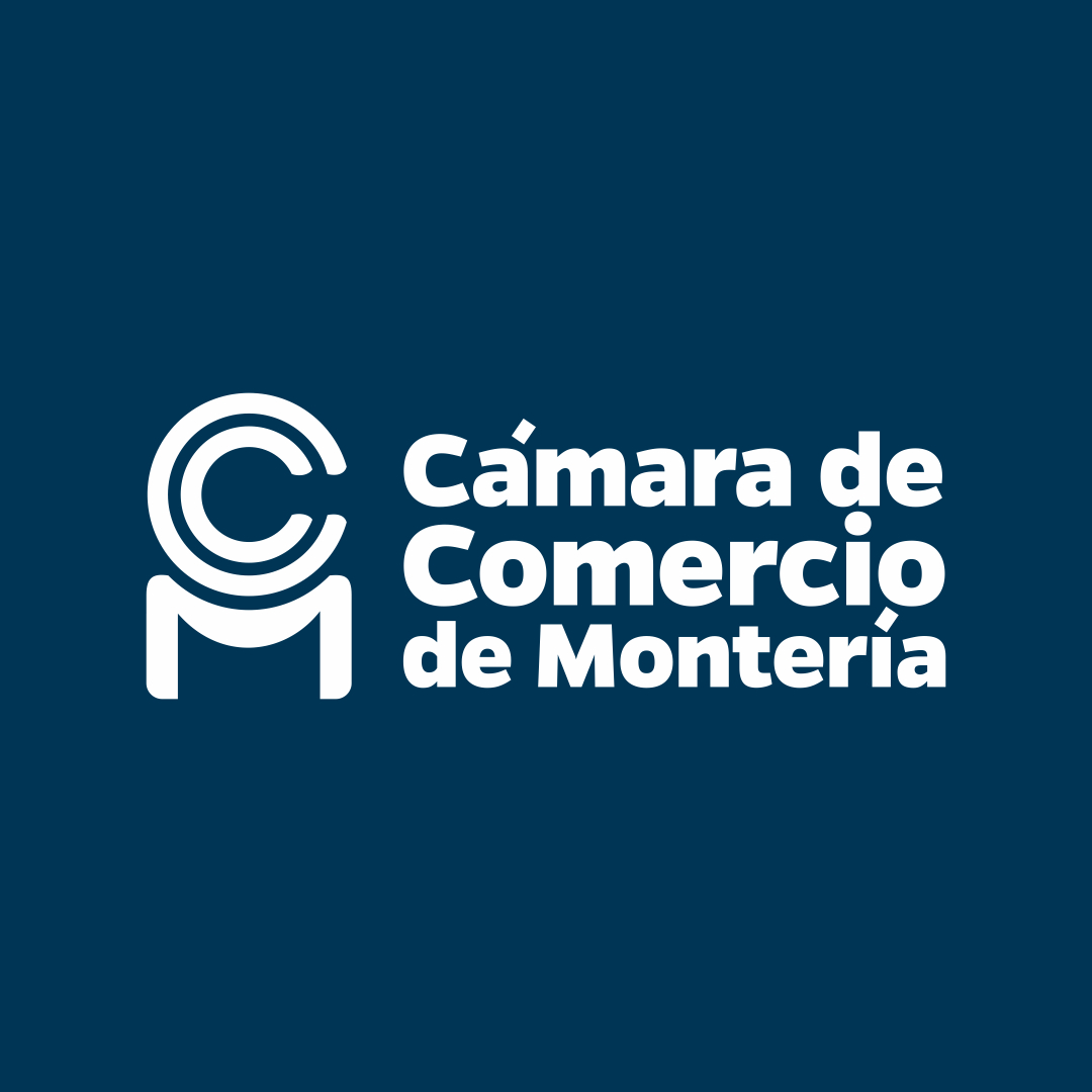 comercio 360 camara comercio